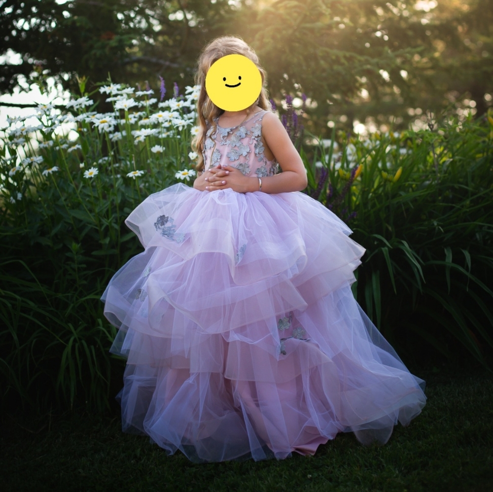 Pink and Silver gown